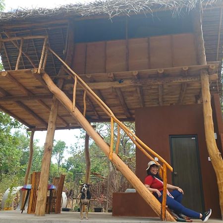Pidurangala View Treehouse Apartment Sigiriya Exterior photo