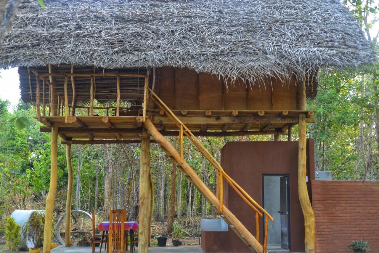 Pidurangala View Treehouse Apartment Sigiriya Exterior photo