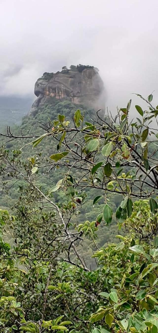 Pidurangala View Treehouse Apartment Sigiriya Exterior photo