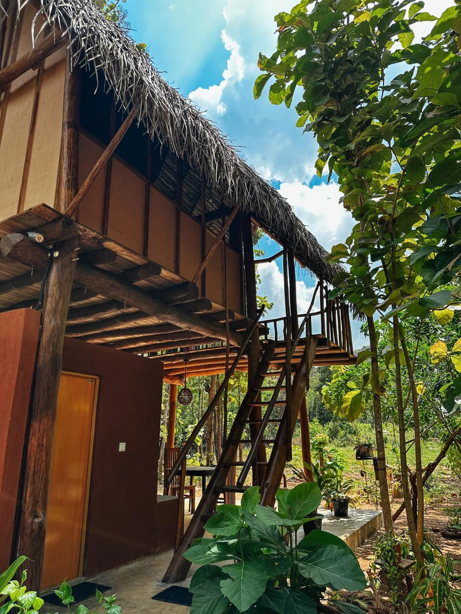 Pidurangala View Treehouse Apartment Sigiriya Exterior photo