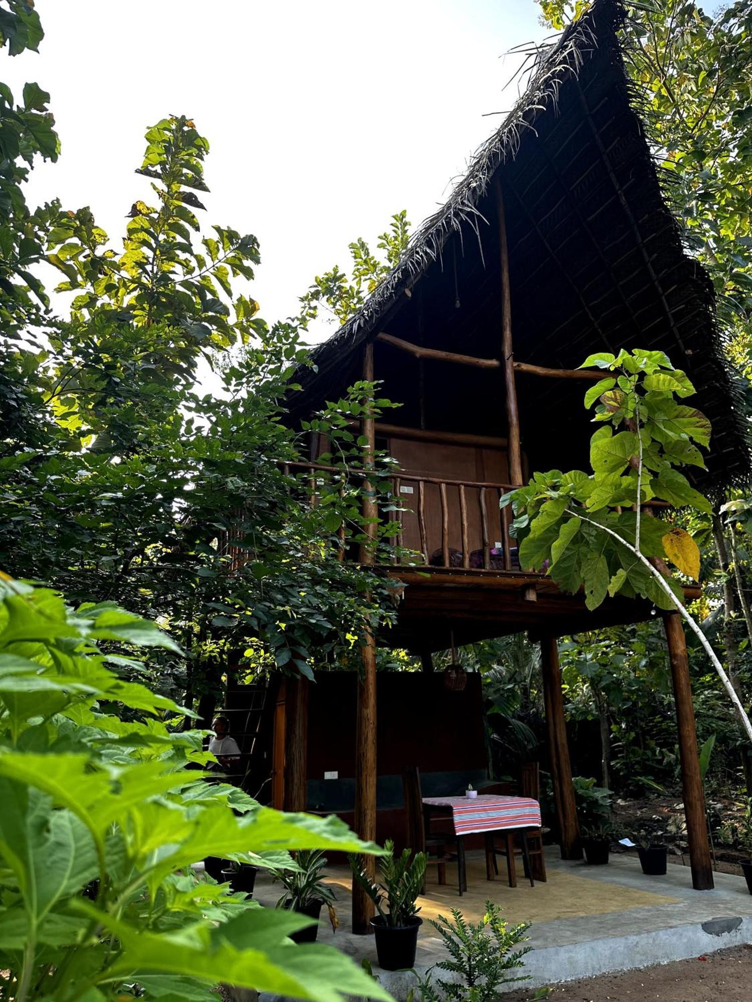 Pidurangala View Treehouse Apartment Sigiriya Exterior photo